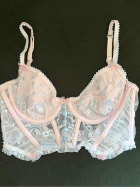 For Love And Lemons Pink & Pale Blue Embroidered Bra